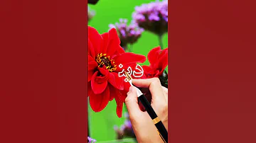 اسم دينا 