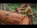 U of O's Dan Morrison Photographer Slideshow - Cedar Creek Fire 2023