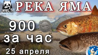 🌟РЕКА ЯМА🌟900 СЕРЫ ЗА ЧАС🌟Русская Рыбалка 4(РР4)🌟