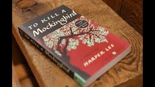 To Kill a Mockingbird Chapter 7