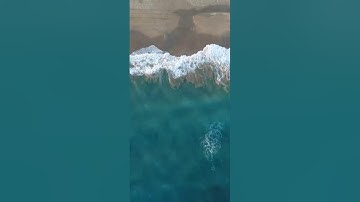 آيات السكينة والطمأنينة بصوت القارئ إبراهيم لشكر (راحة نفسية لا توصف )