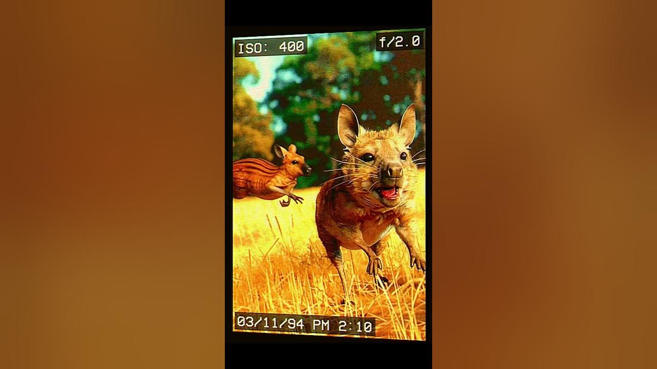 what-animals-did-the-ai-create-here-youtube
