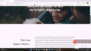 TRUE COMPANIONS || HACKATHON || WEB DEVELOPMENT || BRAINOVISION
