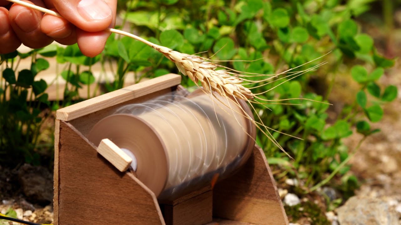 우리밀 타작해서 통밀빵 만들기/깜빠뉴/미니어처 요리/Miniature Cooking
