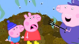 Peppa Pig Official Channel | Peppa Pig and Grandpa Pig‘s Stinky Manure