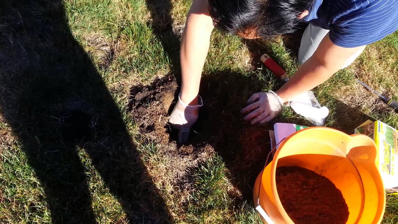 Tomcat Mole Poisionious Worm Instruction You Tomcat Mole Poisionious Worm Instruction