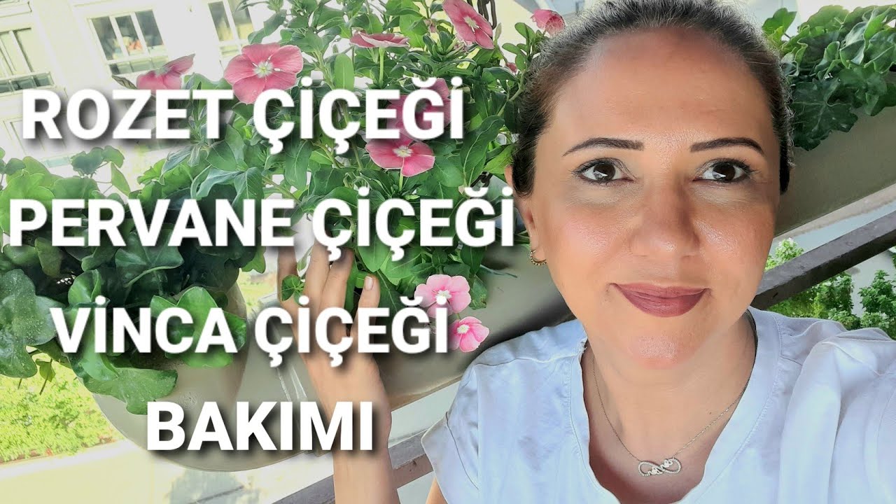 ВИНКА УХОД ЗА ЦВЕТАМИ