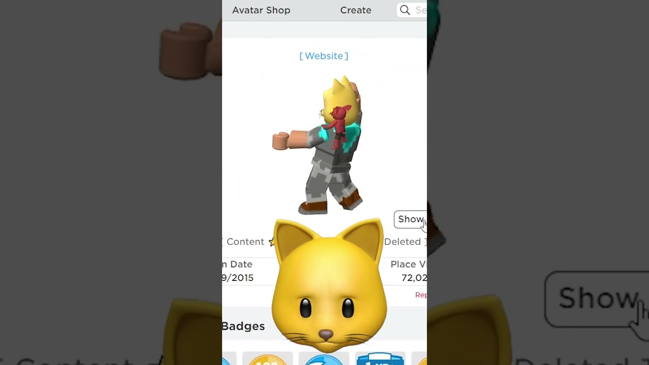 This is my roblox avatar that I made in like 2015 or smthin, I