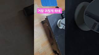 거참 귀찮게 하네 #문우택 #웃음치료사 #한국좋은강사협회