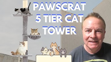 PAWSCRAT 5-TIER CAT TOWER UNBOX BUILD REVIEW