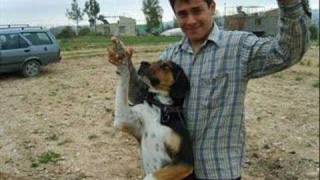 Kadelli̇ Köyü.kadelli