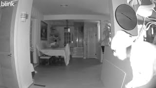 Detectives Investigate Residential Burglary in Wheaton; Surveillance Video of Suspect Released