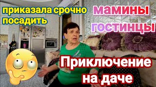 ❤️‍🔥Приключения на Даче!Принесла Посадить !Вот тебе На!