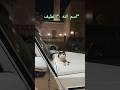 الشعراوي اسماء الله الحسنی ذكر الله اشتراك قطط موعظة اكسبلور المصحف تلاوات تلاوة خاشعة حب الشعراوي اسماء الله الحسنی ذكر الله اشتراك قطط موعظة اكسبلور المصحف تلاوات تلاوة خاشعة حب