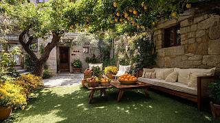 Peaceful Citrus Garden Retreat🍊Soft Nature Sounds and Spring ASMR Ambience for Quiet Time screenshot 3