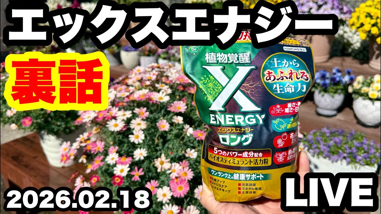 ◆ここでしか聞けない【エックスエナジー裏話】