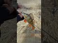РЫБАЛКА ПЕРЕД ПАВОДКОМ #рыбалка #fishing #norstream