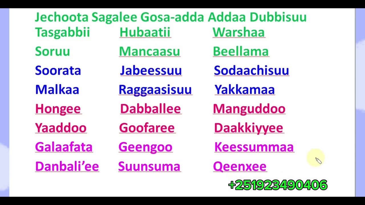 Jechoota Sagalee Gosa adda Addaa Dubbisuu # Learn Afaan Oromoo #Amharic English letters