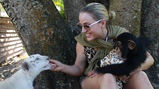 TIGER CUB meets CHIMP BABY