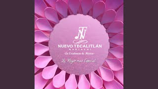 Video thumbnail of "Mariachi Nuevo Tecalitlán - Gema"