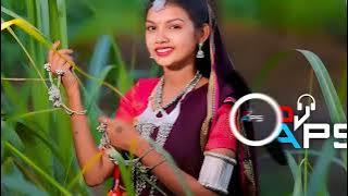 Kali Kali murgi Safed anda CG SONG MIX DJ APS JBP DJ APR JBP 🔥🔥