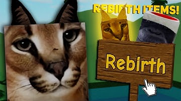 Raise A Floppa 2 How Fast Can I REBIRTH With The Rebirth Items?