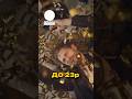 ⚡️ВИЇЗД ЧОЛОВІКІВ до 22 років дозволили ⁉️#shorts #shortvideo #закордон