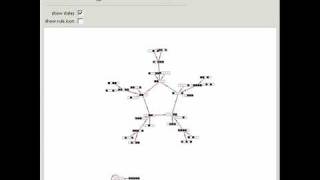 Cellular Automaton State Transition Diagrams