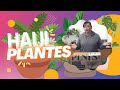 HAUL PLANTES 🪴 MES DERNIERS ACHATS CHEZ PLNTS 😱