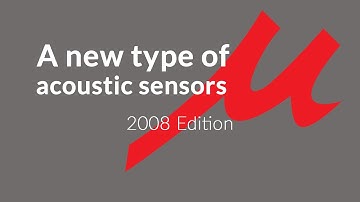 Acoustic Particle Velocity Sensor