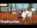 theHunter Call of the Wild #1 🐺 - Охота на Аляске - Новый Заказник "Долина Юкона"