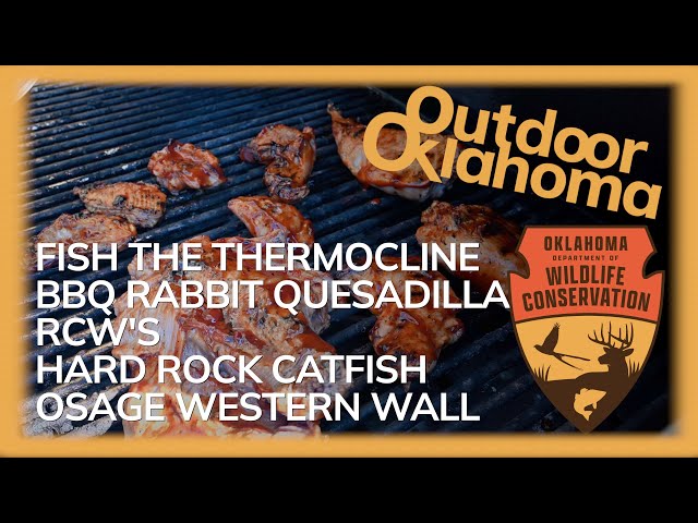 Watch Outdoor Oklahoma Episode 4801 (Thermocline, Rabbit Quesadilla, RCW's, Hard Rock Catfish, Osage WMA) on YouTube.