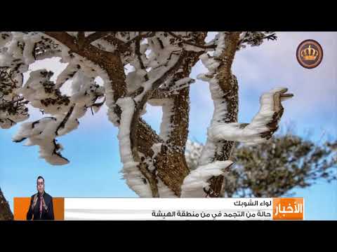 حالة من التجمد في منطقة الهيشة في لواء الشوبك