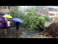 Мощный циклон обрушился на юго-западное побережье Индии