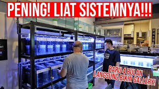 NIAT BANGET!!! BIKIN GALLERY IKAN FULL SYSTEM!!!  PULUHAN AQUARIUM TANPA REPOT!!!