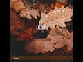 Dusk 1 hour relaxing piano  sheet music available