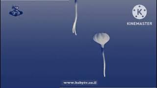 Baby TV Today is my birthday In G Major