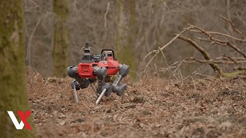 Oxford’s Robot Dog Explores Forests To Create 3D Maps | VERTEX