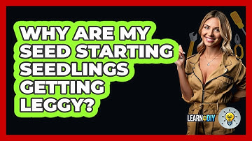 Why Are My Seed Starting Seedlings Getting Leggy? - LearnToDIY360.com