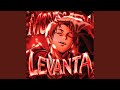 Montagem Levanta 