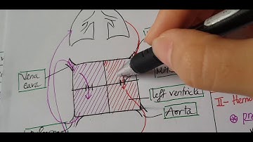 Sinh lý tim mạch 1 - Vòng tuần hoàn, chu chuyển tim