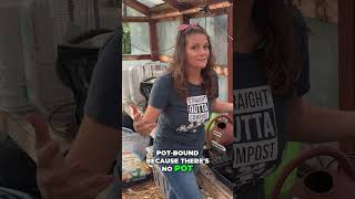 Soil Blocking Better Seedlings, Less Plastic Magic