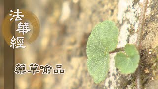 【靜思妙蓮華】法華經藥草喻品 - 佛音遍聞於三界 - 20210706 第885集