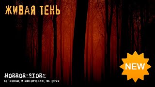 Страшная история | Живая тень