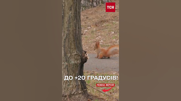 Названо ДАТУ! Коли ПОТЕПЛІЄ в Україні | Прогноз погоди