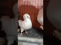 ٢١ سبتمبر ٢٠٢٢