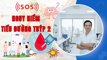 Vì Sao Bạn Mắc Tiểu Đường Type 2? Đây Là Cơ Chế Bệnh!