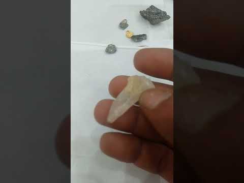 اكسبلور الصوديوم احجار كريمة اكسبلور اشتراك دعم ترند