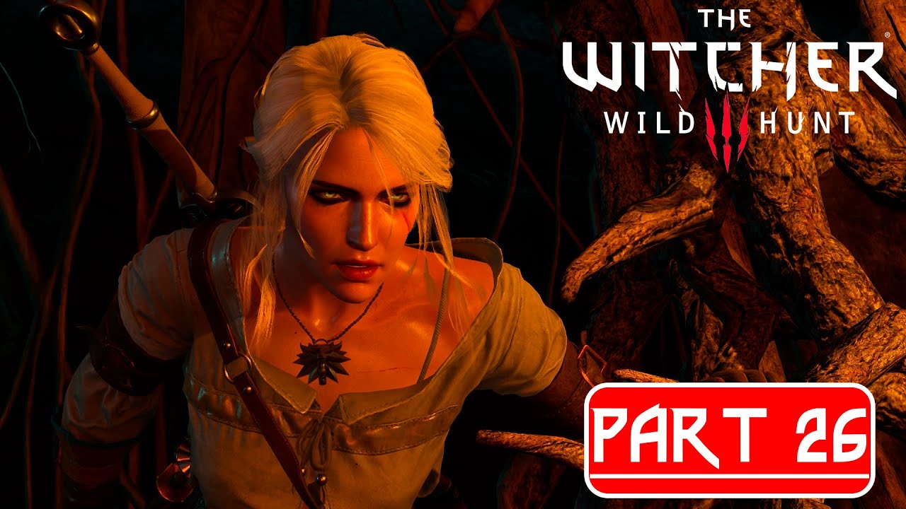 The Witcher 3 Next Gen Upgrade Gameplay Walkthrough Part 26 FULL GAME ...