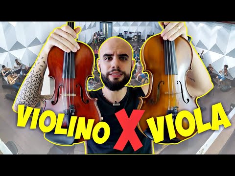 Vídeo: Diferença Entre Violino E Viola